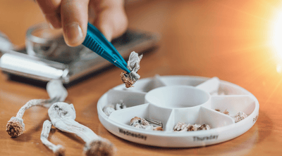 The Magic of Mini Doses: Exploring the Benefits of Mushroom Microdosing