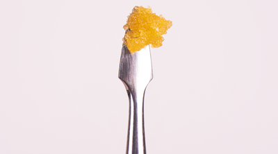 What Is Live Resin? The Future of Cannabis Concentrates