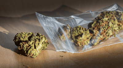 How to Tell if Your Weed is Laced Weed: 5 Tips