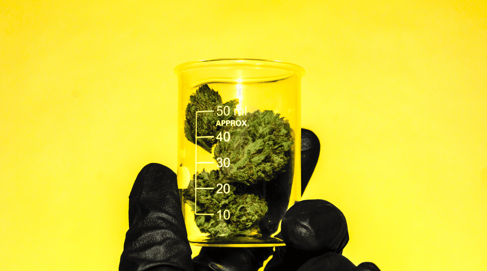How long does weed stay in your system?
