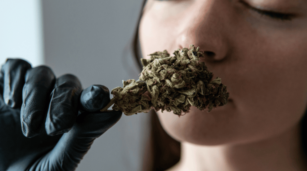 How to tell if weed is good quality