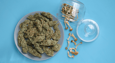 Dosing 101: Mixing Weed and Mushrooms for Best Experiences