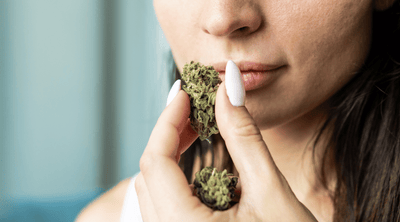 Terpenes in Weed: Delving into the World of Aromatic Compounds