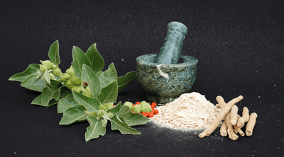 What is Ashwagandha and How is it Revolutionizing Wellness
