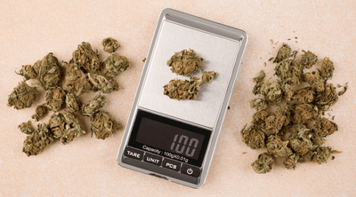 How Much is an 8th of Weed? Sizes of Weed Measurements and More