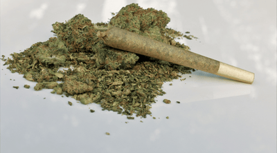 A Weed Lover’s Guide to What is Reggie Weed: Is It Safe to Puff?