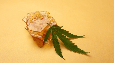 The Ultimate Guide to Cannabis Concentrates: What is Shatter?