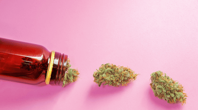 Unlocking the Full Spectrum: How the Entourage Effect Bolsters Cannabis Benefits