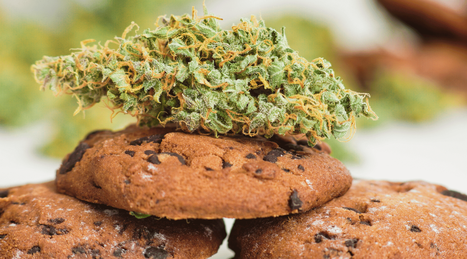 Does weed have calories?