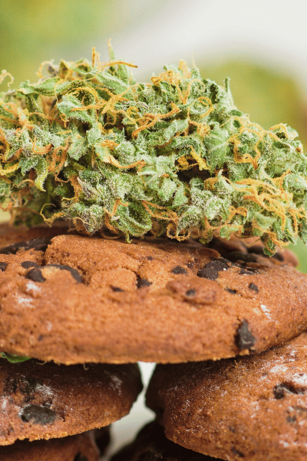 Does weed have calories?