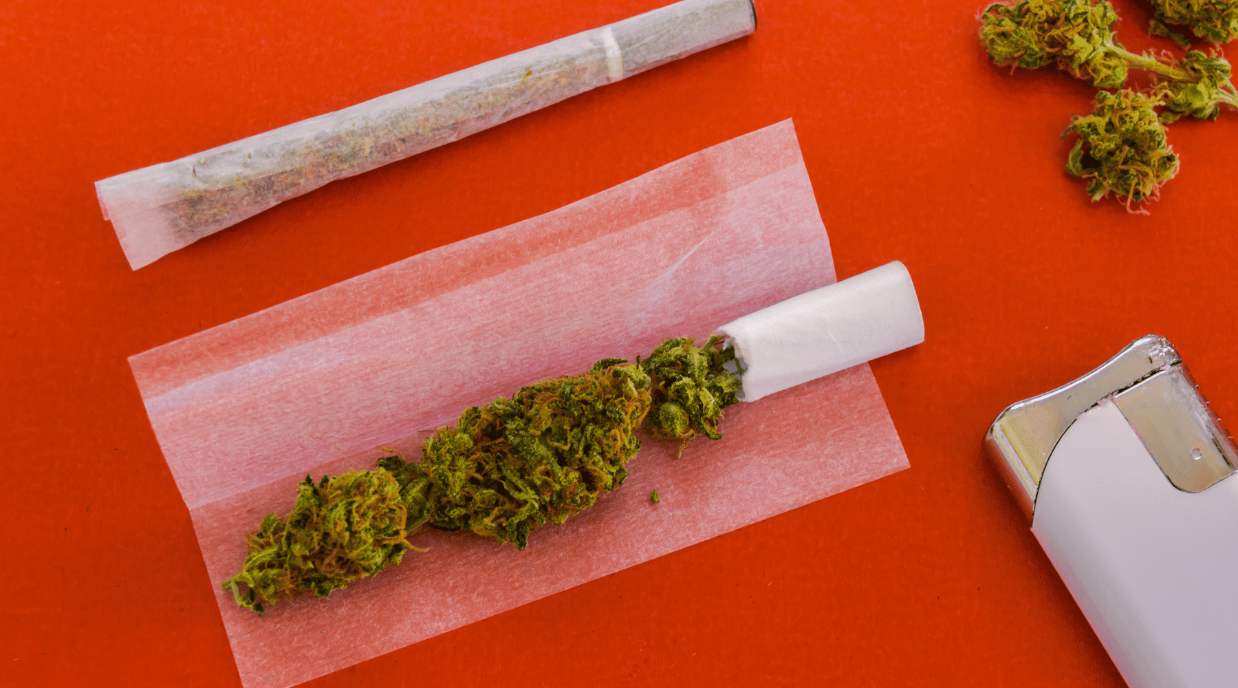 Image showcasing how to roll a joint